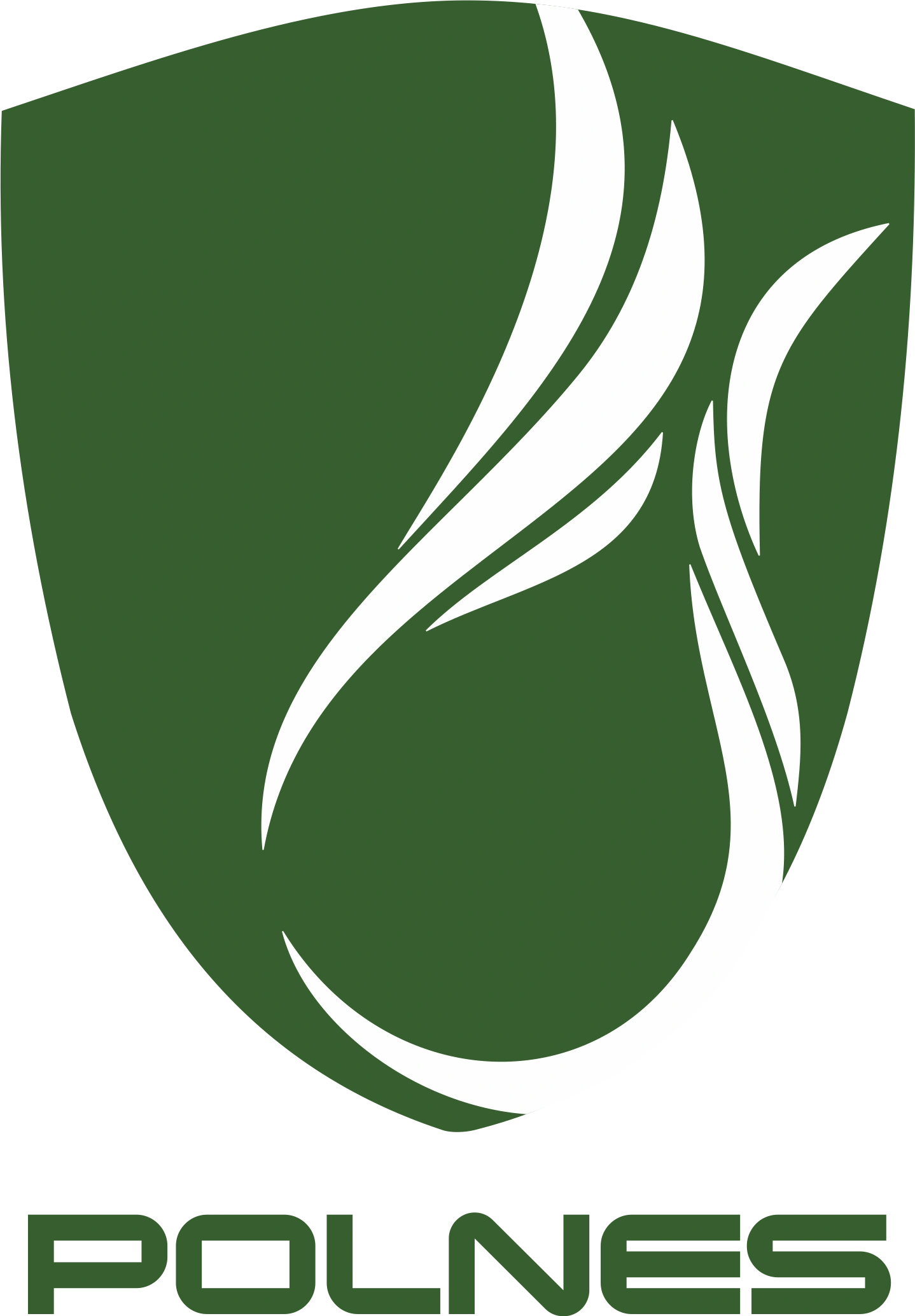 Logo POLNES
